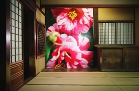art_img05.jpg